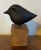 Abstract Mid-Century Modern Iron Sculpture of a Bird Mounted on Wood Base For Sale - Image 10 of 12