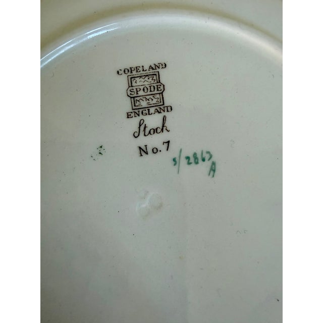 Vintage Spode Copeland England Botanical Luncheon Plates — Set of 10 For Sale - Image 15 of 16