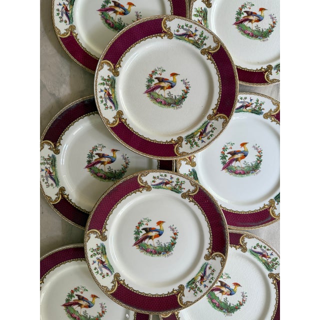 Ceramic 1940s Myott Chelsea Bird Dinner Plates 9 7/8” Burgundy Transferware England - Set of Eight (8) For Sale - Image 7 of 12