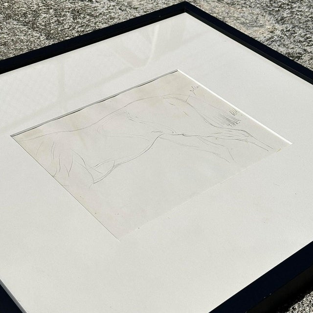 Vintage Framed Horse Body Sketch Drawing For Sale - Image 11 of 12