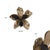 Golden Orchid For Sale - Image 11 of 11