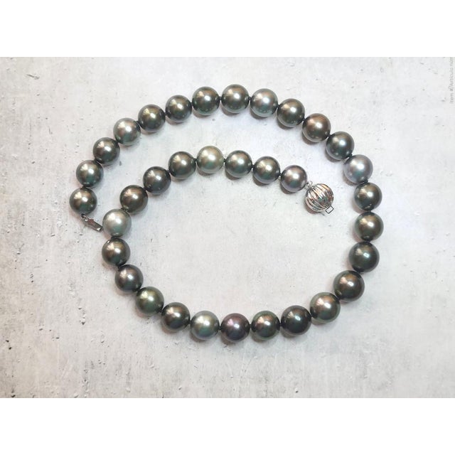 Metal South Sea Tahitian Black Pearl Necklace With 14k White Gold Clasp For Sale - Image 7 of 9