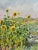 Georgij Moroz, Summer Sunflower in Ukraine, Oil Painting, 2004 For Sale - Image 4 of 7