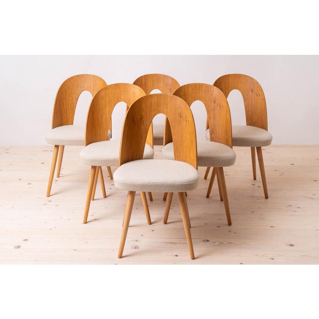 Mid-Century Dining Chairs attributed to A. Suman, 1960s, Set of 10 For Sale - Image 4 of 18