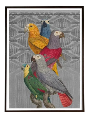 "Les Perroquet" Parrot Collage Print Antique Birds by Capricorn Press