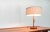 Mid-Century Type 25 Teak Table Lamp from Temde For Sale - Image 9 of 18
