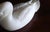 1970s Alabaster Duck Statue With Excellent Detail For Sale - Image 4 of 10