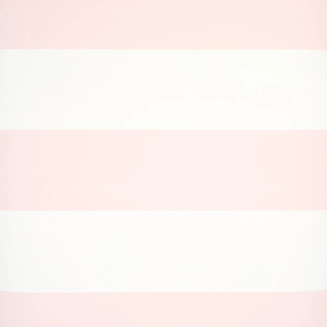 Sample - Schumacher Baxter Stripe Wallpaper in Blush For Sale