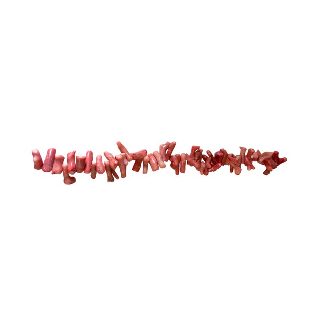 1980s Vintage Natural African Angel Skin Coral Branch Trade Beads Strand /Currency /Necklace 52 Pieces For Sale - Image 5 of 7