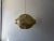 Huge Rare Cocoon Mid Century Modern Pendant Chandelier Flos Castiglioni Resin For Sale - Image 11 of 12
