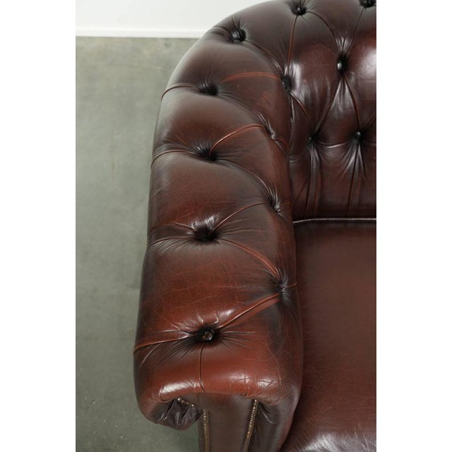 Animal Skin English Cowhide Chesterfield Club Lounge Chair For Sale - Image 7 of 13