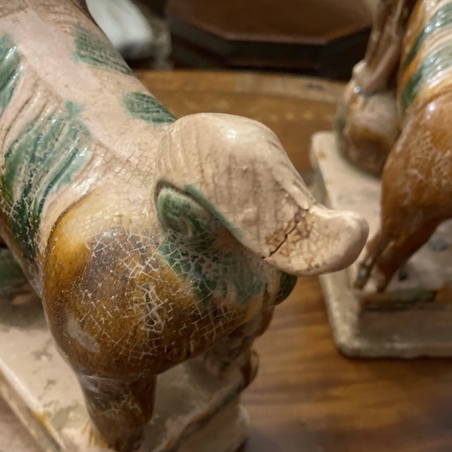 Sancai Glazed Foo Dogs - A Pair For Sale - Image 6 of 8