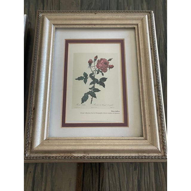1960s P.J.Redoute Pair Floral Chromolithographs Framed Reproduction For Sale - Image 5 of 9
