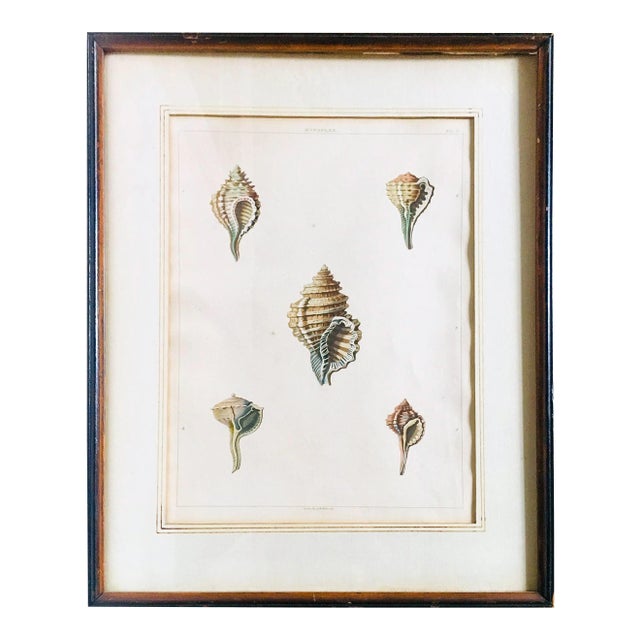 1810 Antique George Perry "Monoplex" English Engraved Aquatint Print For Sale