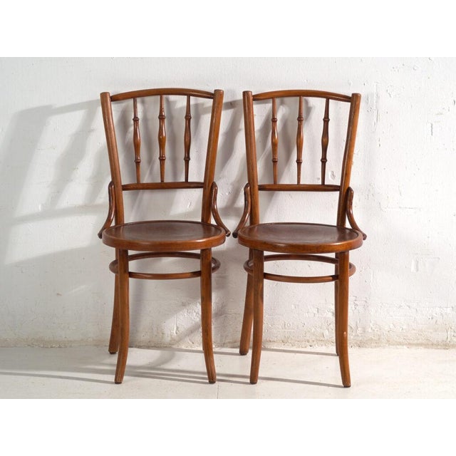 Bentwood Chairs in the style of Thonet, Central Europe, 1930, Set of 4 For Sale - Image 3 of 17