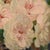Henri Joseph Thomas, Still Life with Vase of White Roses, 1890s-1910s, Oil on Canvas, Framed For Sale - Image 5 of 11