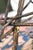Antique Looped Branch Adirondack Twig Table For Sale - Image 12 of 14