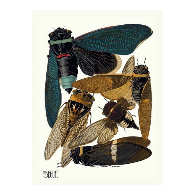 Insects Plate 01 by Emile-Allain Séguy, Vintage Art Print Reproduction, 18" × 24" For Sale