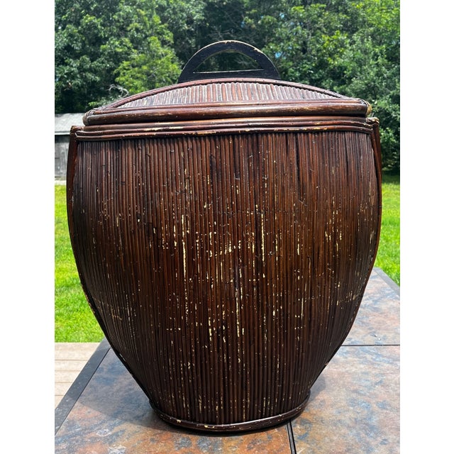 Coastal Vintage Coastal Monumental Pencil Reed Lidded Basket For Sale - Image 3 of 12