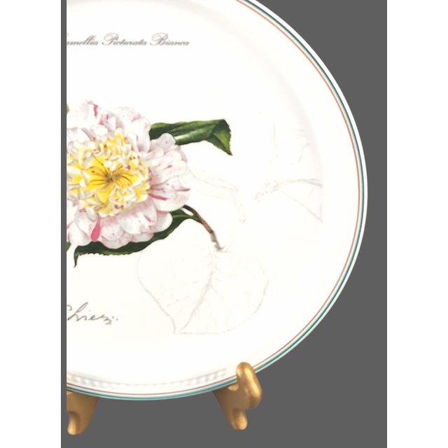 Mid-Century Modern Collectable Villeroy & Boch Pale Pink & White Camelia Wall Plate 1995 For Sale - Image 3 of 8