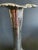 Late 19th Century Antique Howard & Co. New York Sterling Silver Pierced Floral Vase With Original Red Glass Liner For Sale - Image 5 of 8