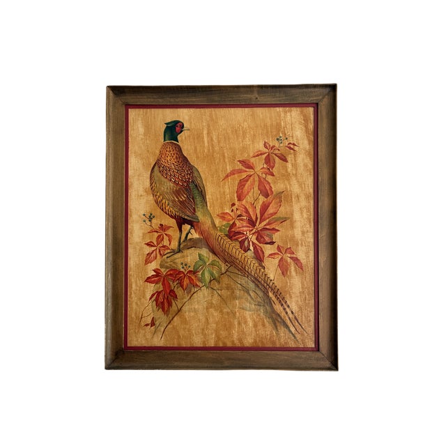 Vintage Pheasant Framed Art Roger Tory Peterson Cottage English Study Decor For Sale - Image 18 of 18
