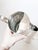 Vintage Hotel Silver Serving Pitchers by d.w. Haber & Sons, New York, a Pair For Sale - Image 4 of 8