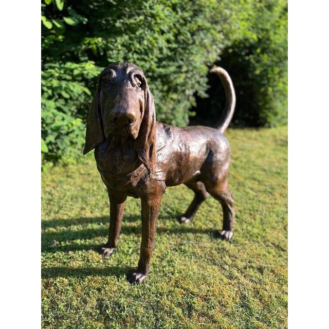 Life-Size Bronze Bloodhound Garden Statue from Christian Maas For Sale - Image 12 of 18