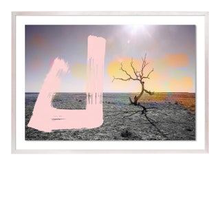 Desert Balance by Coup d'Esprit Contemporary Photograph in Whitewash Frame, Small For Sale