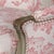 Newly upholstered in a classic vintage pink toile fabric from the South of France . Purchased in France, these elegant...