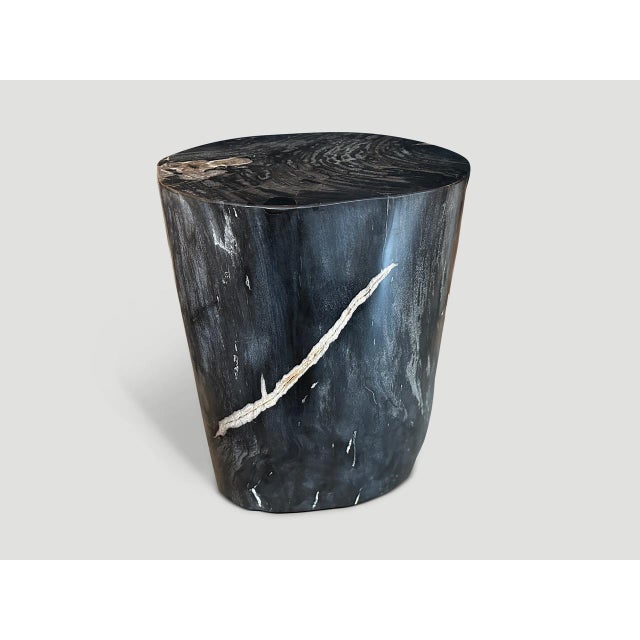 2010s Andrianna Shamaris Exquisite High Quality Petrified Wood Side Table For Sale - Image 5 of 18