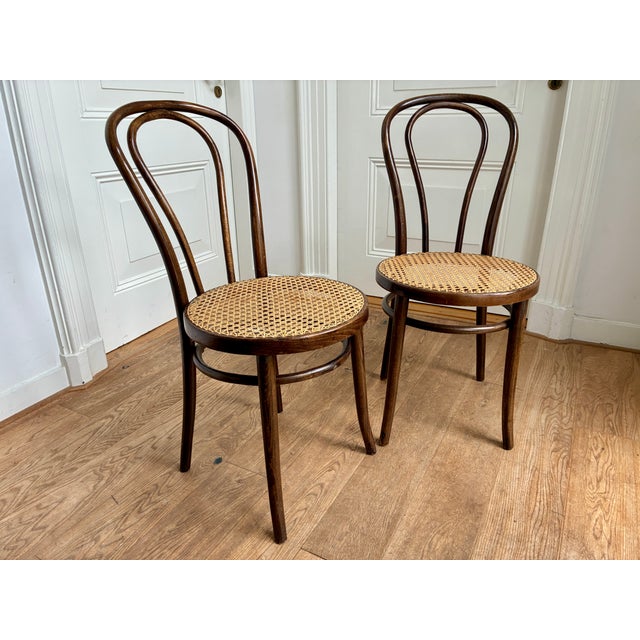 Vintage No. 18 Chairs by ZPM Radomsko for Thonet, 1970s, Set of 2 For Sale - Image 9 of 9