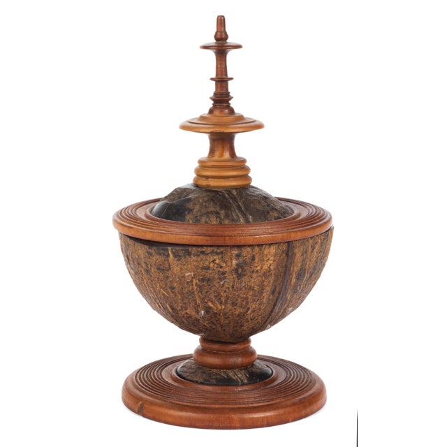Kunstkammer Coconut Cup, 1800s, Wood & Coconut/Coir For Sale - Image 4 of 4