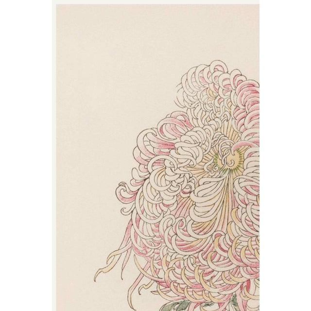 A refined example of late 19th-century Japanese botanical illustration, this vintage art print reproduction features Pink...
