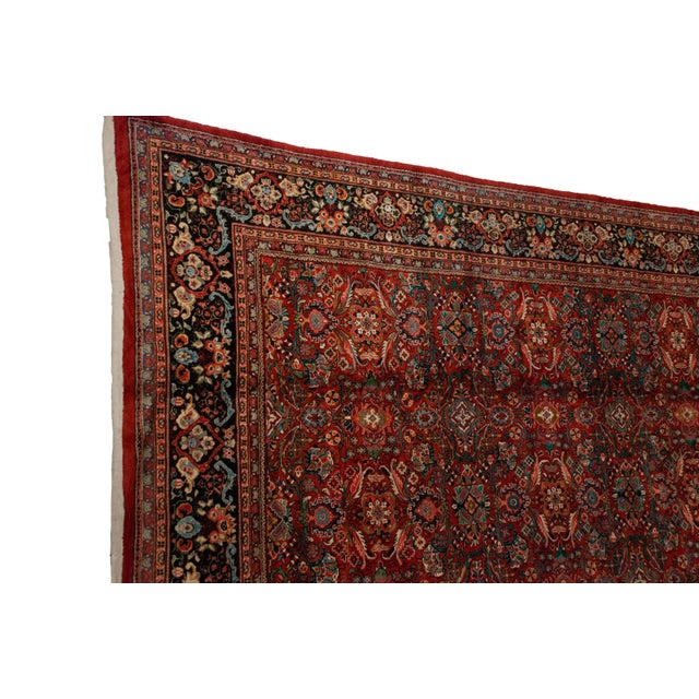 :: Covered field in a floral blossom and serrated leaf design motif with great expressive detail and phenomenal range...