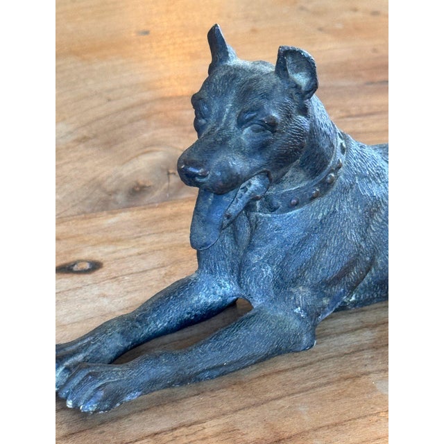 19th Century 19th Century Austrian Bronze Recumbent Dog With Studded Collar For Sale - Image 5 of 8