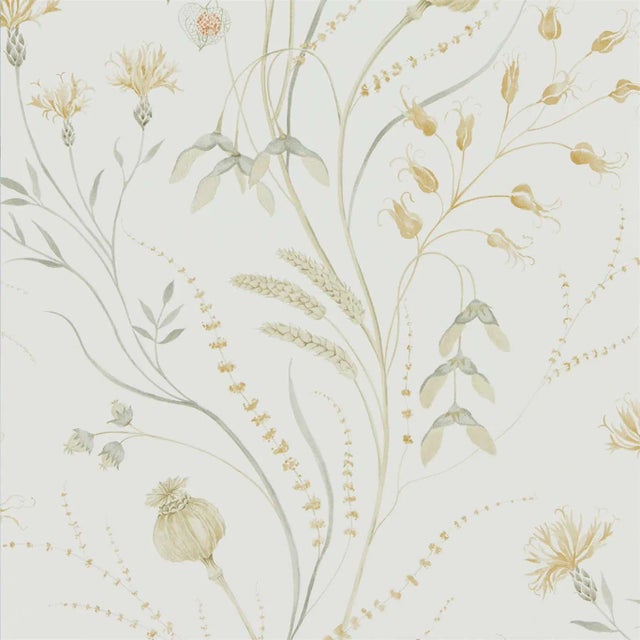 Sanderson Summer Harvest Wallpaper in Silver Corn For Sale