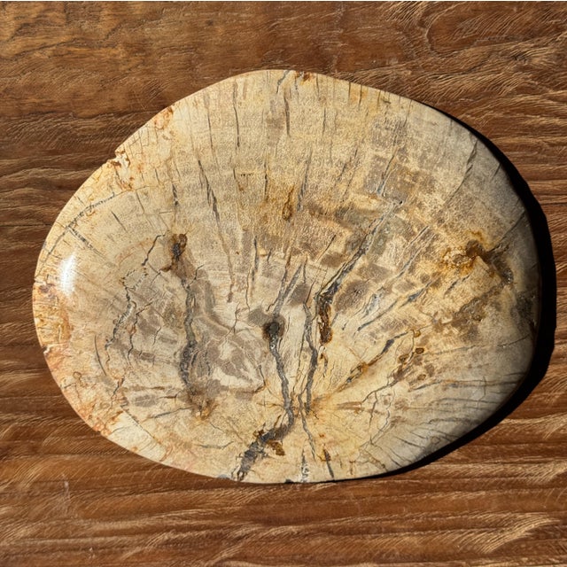 Small Oval Trinket Dish or Tray in Beige Petrified Wood with Crystal Rings, d25-20.5 -3313 For Sale - Image 18 of 18