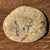 Small Oval Trinket Dish or Tray in Beige Petrified Wood with Crystal Rings, d25-20.5 -3313 For Sale - Image 18 of 18