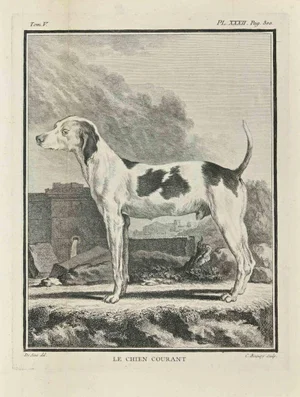 Jean Charles Baquoy, Le Chien Courant, Etching, 1771