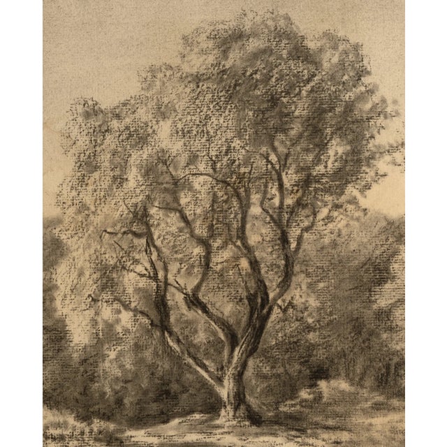 French Early 1900's Antique French Charcoal Bucolic Valley Landscape Scene on Paper With Mat For Sale - Image 3 of 5