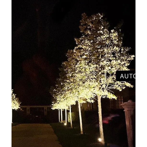 Original photograph by Louise Weinberg, Night Grove, Sag Harbor, Hamptons. Please respect my copyright. This will be...