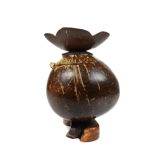 Wood Vintage Handmade Natural Coconut Shell Lidded Box Display on Wooden Base For Sale - Image 7 of 13