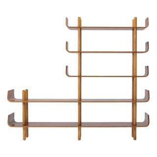 Vintage Bookcase in Teak and Birch by Wilhelm Lutjens for Den Boer, 1950s For Sale