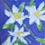 Original hand-painted oil painting by artist Tatiana Duperault Lush, joyful daisy garden composition bursting with color...