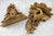19th Century Carved Giltwood Wall Brackets, Set of 2 For Sale - Image 10 of 13
