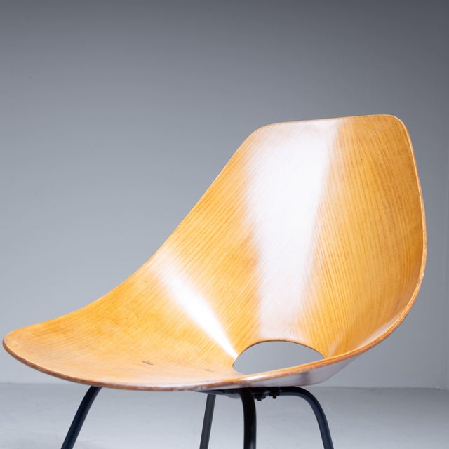 Medea Chairs by Vittorio Nobili, Set of 6 For Sale - Image 5 of 12