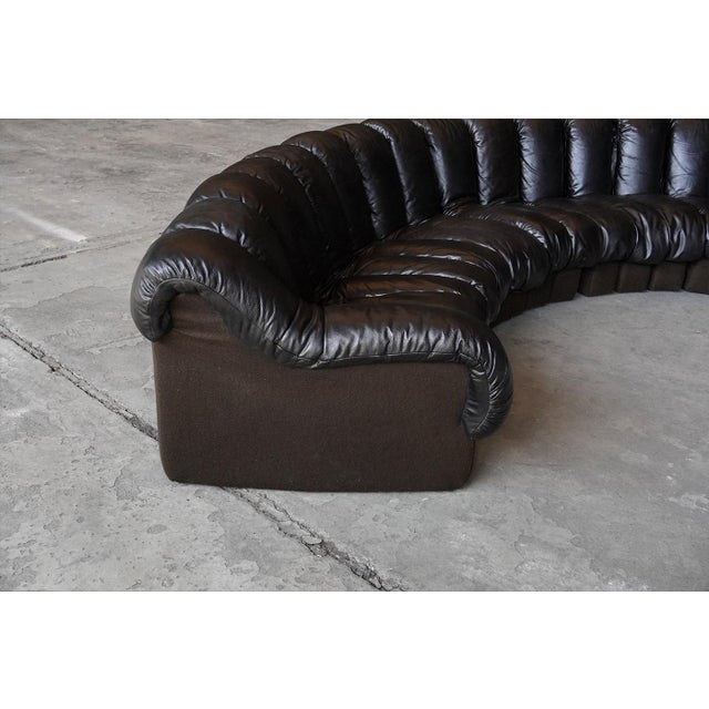 Ds600 Snake Sofa in Black Leather by Ueli Berger for de Sede, Switzerland, 1970s, Set of 19 For Sale - Image 3 of 8