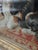 Large Framed 19th Century Folk Art Woolwork of a King Charles Spaniel on a Cushion For Sale - Image 12 of 15