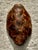 Brown Vintage Boho Artisanal Pigmented Plaster Scagliola Turtle Shell For Sale - Image 8 of 11